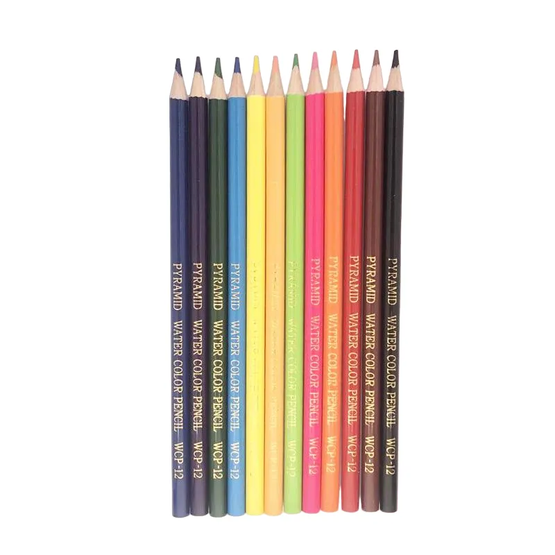 12 Color Pencil