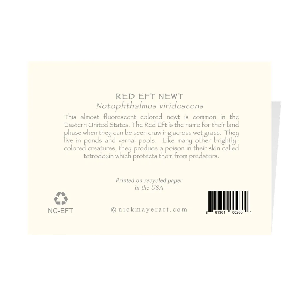 Red Eft Newt Notecards